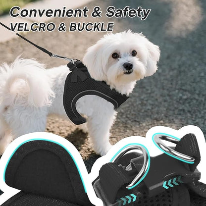 PetiFine Step in Small Dog Harness and Leash Set, Breathable All Weather Air - Image 3