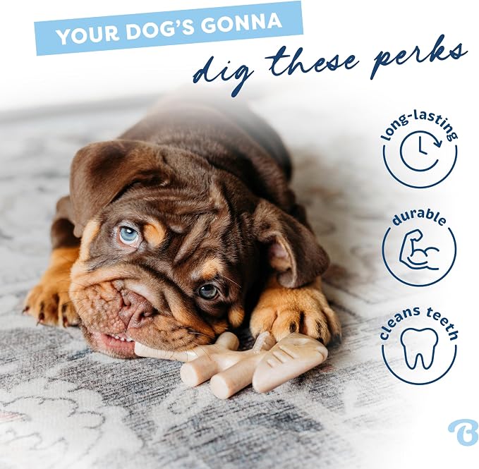 Benebone Puppy Fishbone Dog Chew Toys, Softer - Image 3