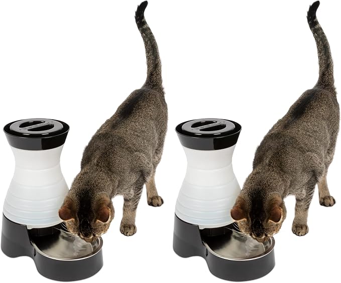 PetSafe Healthy Pet Water Station-Small, 64 oz Capacity-Gravity Pet Water by PetSafe
