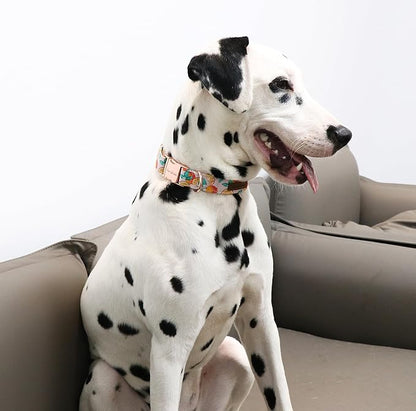 Unique style paws Dog Collar Metal Buckle Gift - Image 5