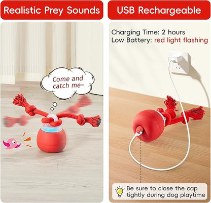 Potaroma Interactive Dog Ball Toys Touch Activated, Rechargeable, Squeaky Dog - Image 6