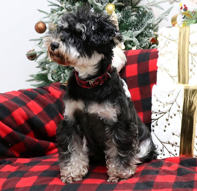 Unique style paws Christmas Dog Collar Metal Buckle Red Black Plaid Puppy - Image 5