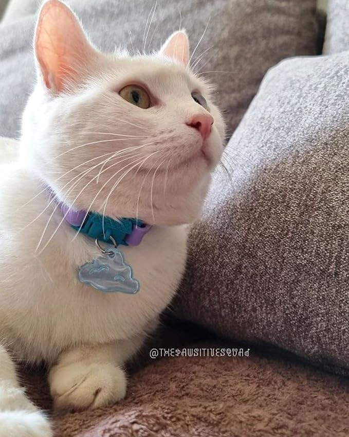 Kittyrama Mauve Cat Collar - Image 4