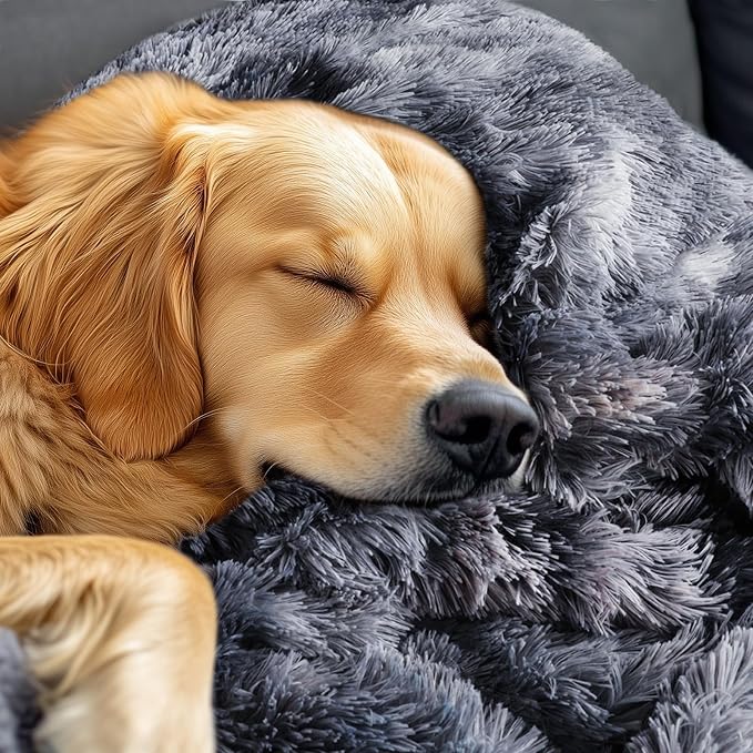 Luciphia Large Waterproof Dog Blanket - Image 9