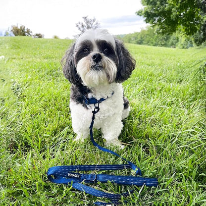 Best Pet Supplies Voyager Reflective Dog Leash or Collar - Image 5