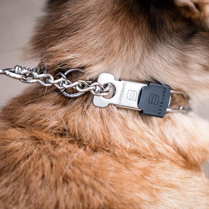 Herm Sprenger Stainless Steel Dog Collar - Image 10
