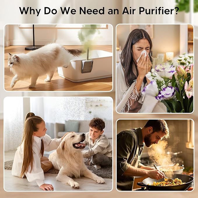 Air Purifiers for Home Bedroom Up to 1250 Ft² - Image 4