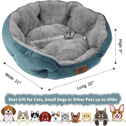 Asvin Medium Dog Bed for Medium Dogs, Cat Beds for Indoor Cats, Pet Bed for - Image 3