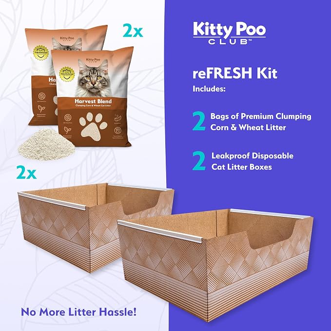 Kitty Poo Club Leakproof Disposable 2-Pack Cat Litter Box - Image 2