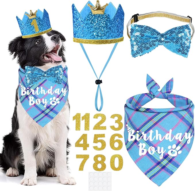 Dog Birthday Party Supplies by JOTFA