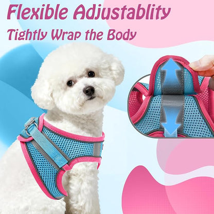 AIITLE Dog Harness, No-Pull Cat Harness - Image 4