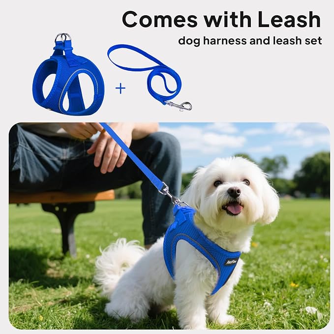 PetiFine Step in Small Dog Harness and Leash Set, Breathable All Weather Air - Image 5