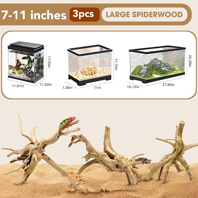 Jorewood Natural Large Spiderwood Driftwood - Image 2