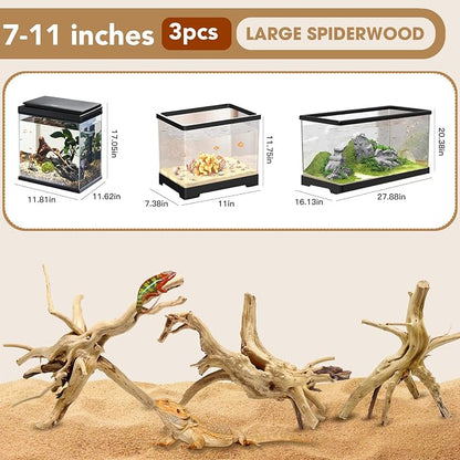 Jorewood Natural Large Spiderwood Driftwood - Image 2