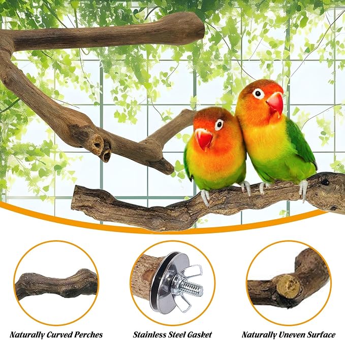 kathson 5pcs Natural Parrot Perch - Image 5