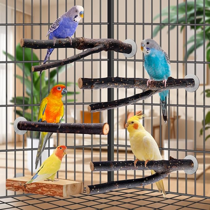 Bird Toys Parakeet Perch Budgie Perch Wood Stand Fork Toys Multi-Branch Perch - Image 3
