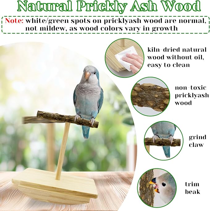 Natural Wood Bird Perch Stand Training, Quaker Parrot Toys, Intelligence Puzzle - Image 3