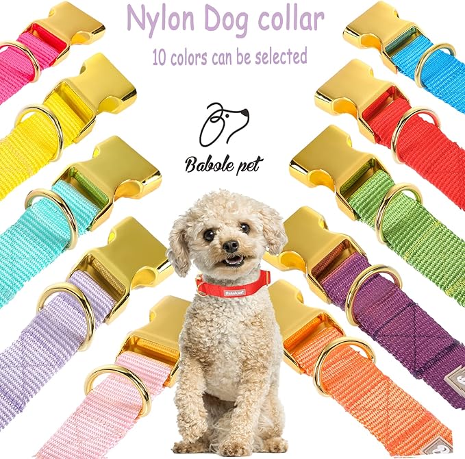 Nylon Dog Collar - Image 7