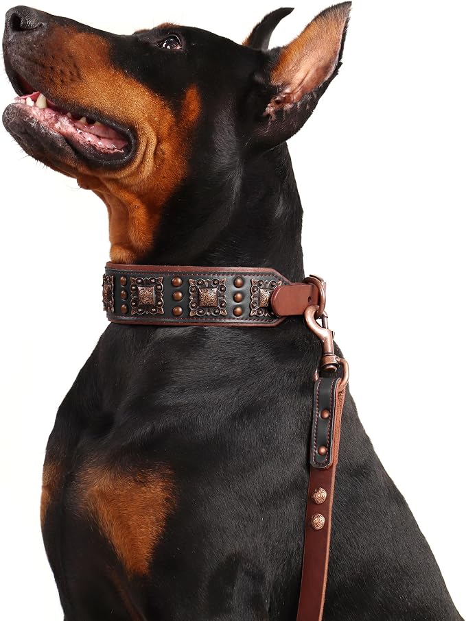 PET ARTIST Soft Padded Leather Dog Collar, 2 inch Wide Genuine Leather Dog - Image 7