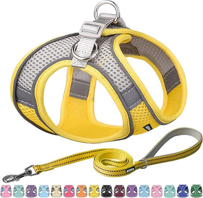 AIITLE Dog Harness, No-Pull Cat Harness by AIITLE-FORPETSBETTERLIFE