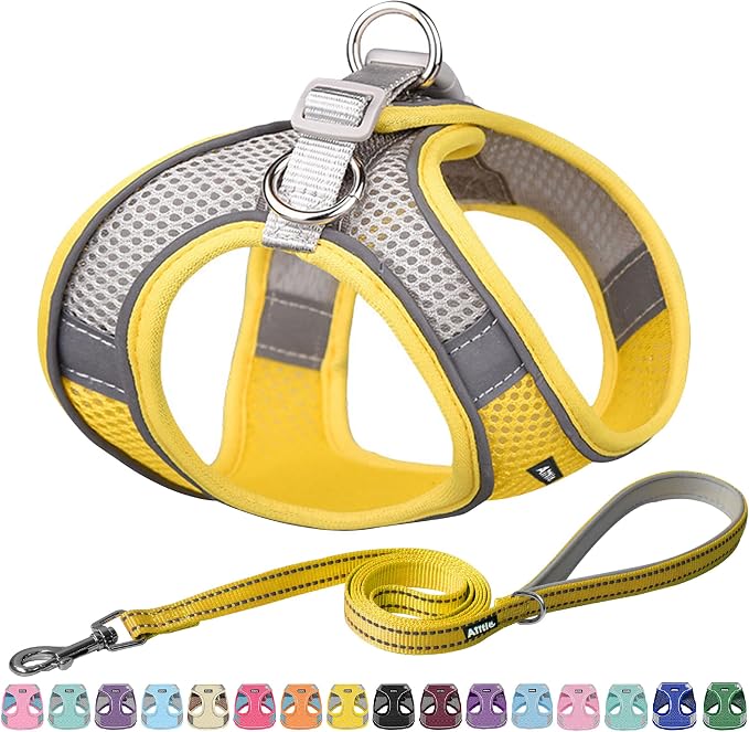 AIITLE Escape Proof Dog Harness by AIITLE-FORPETSBETTERLIFE