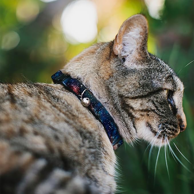 Cat Collar Breakaway Space Dust Collage 8 to 12 Inches 0.5 Inch Wide - Image 2