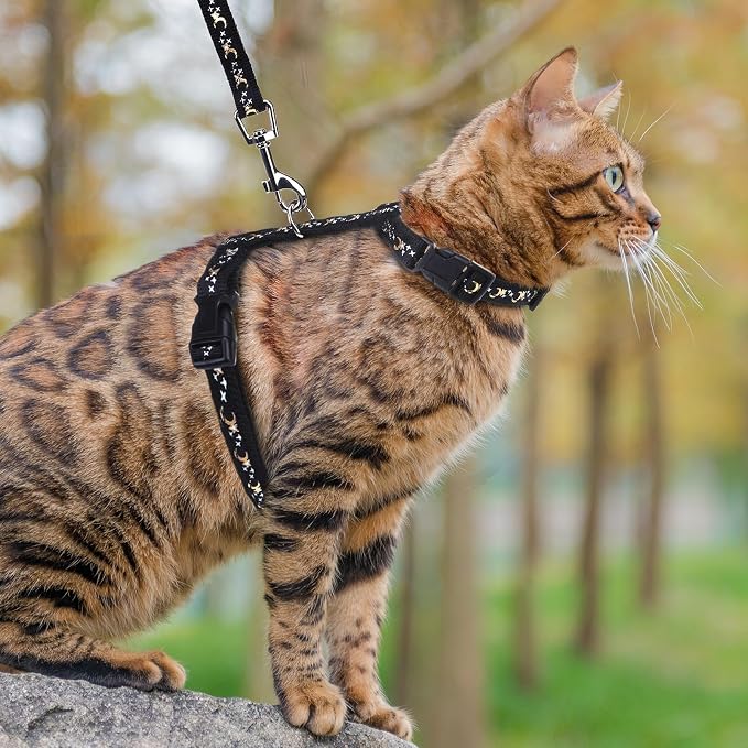 PUPTECK Adjustable Cat Harness and Leash Set Escape Proof Kitten Strap Collar - Image 8