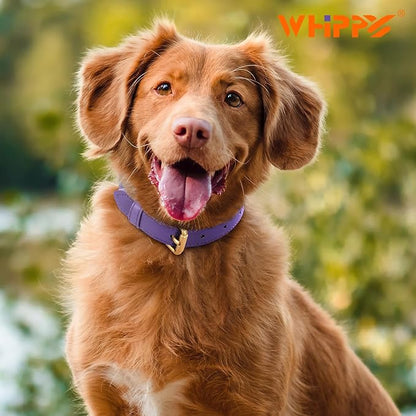 WHIPPY Leather Dog Collar for Small Medium Large Dog Adjustable Soft Breathable - Image 2