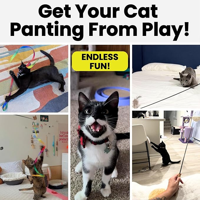 Forever Stick Cat Toys Pack Bundle - Image 6