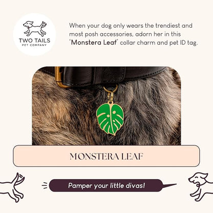 Two Tails Pet Company Personalized 'Monstera Leaf' Pet ID Tag & Collar Charm - Image 2