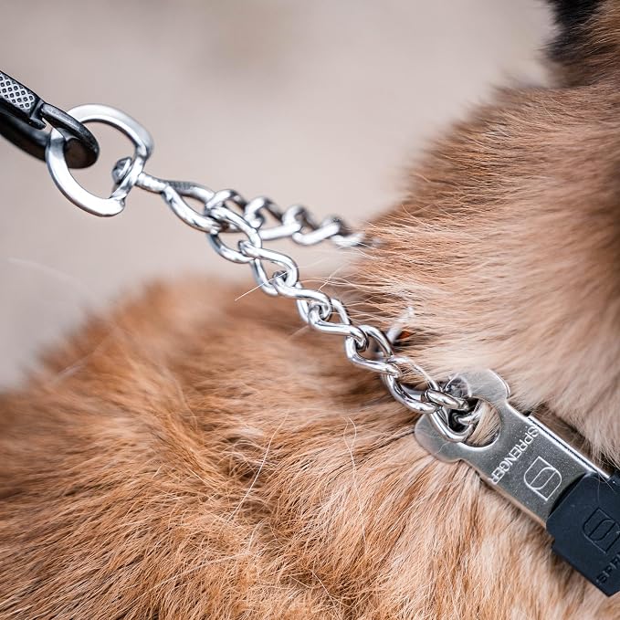 Herm Sprenger Stainless Steel Dog Collar - Image 11