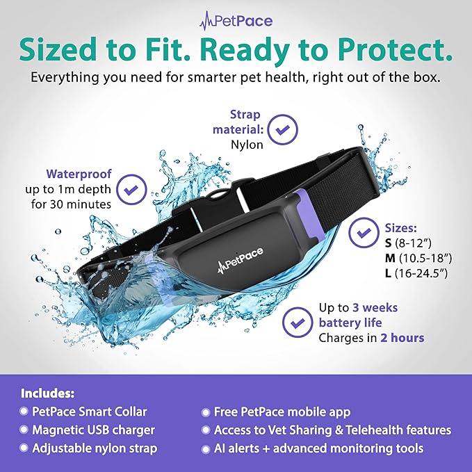 V3.0 Dog Health Monitor – AI Health Collar - Image 6