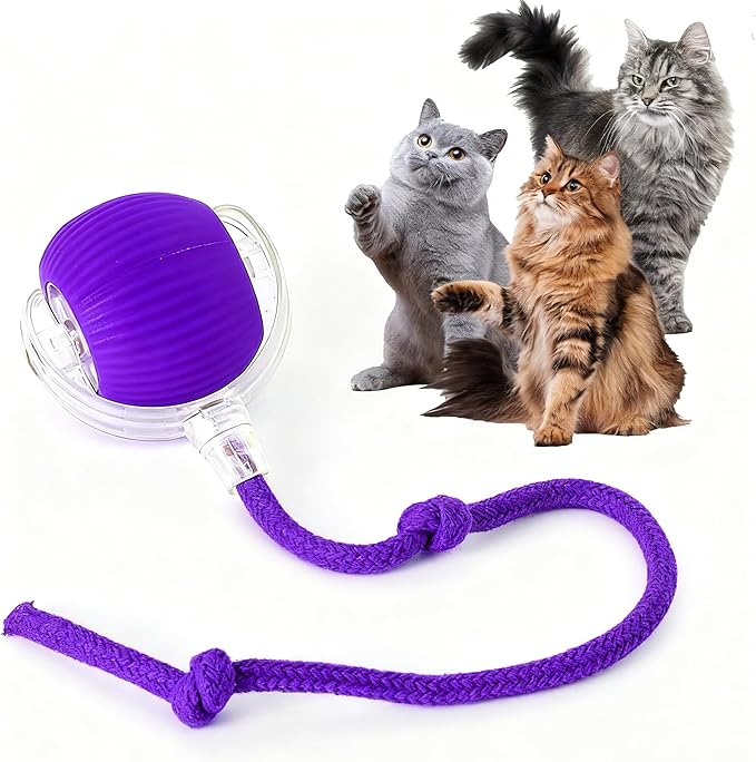 Rocfish Durable Interactive Cat Toys by Unknown