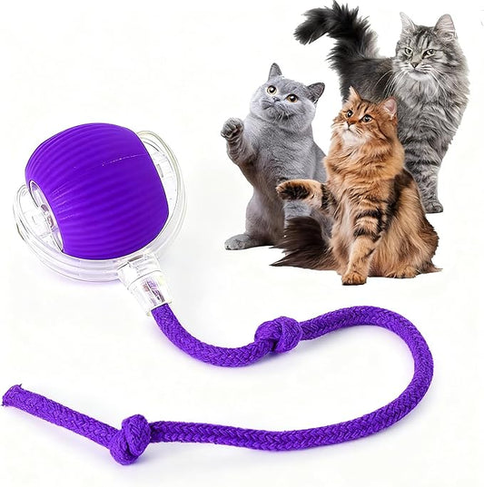 Rocfish Durable Interactive Cat Toys by Unknown