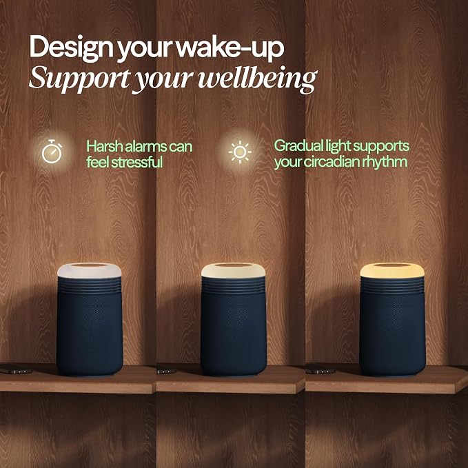 BLUEAIR Purifier for Bedroom - Image 3