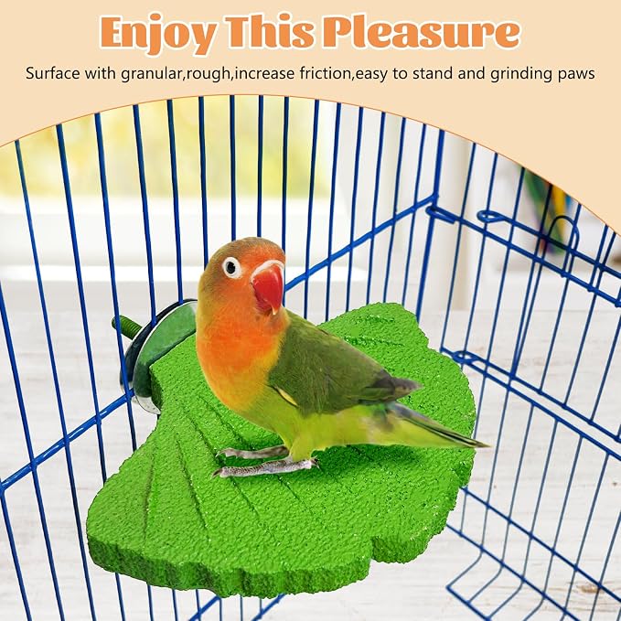 3 Pcs Parrot Perch Resin Bird Beak Grinding Stone Leaf Shape Perch Stand Foot - Image 7