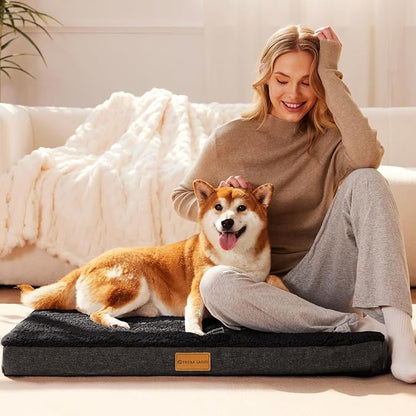 Patas Lague Orthopedic Dog Bed Large Sized Dog 36''X24'', Soft Waterproof Egg - Image 2