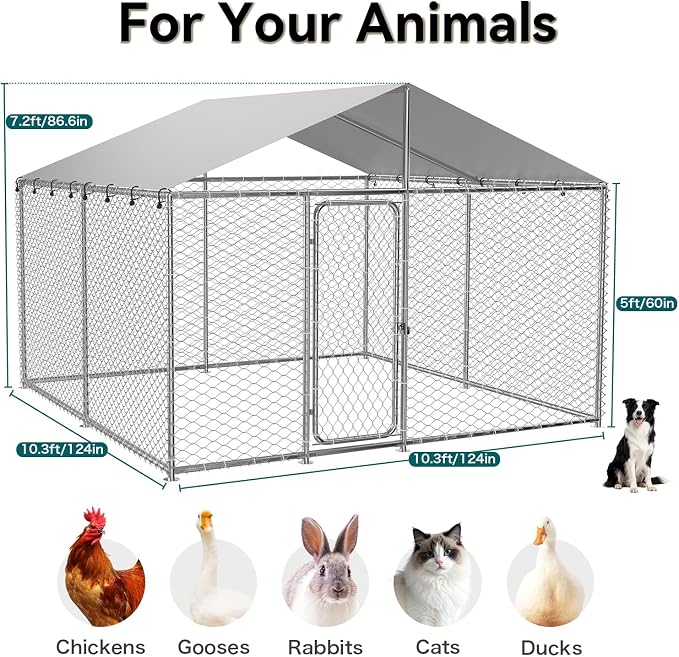 10'x10' Large Outdoor Dog Kennel Outside - Image 7