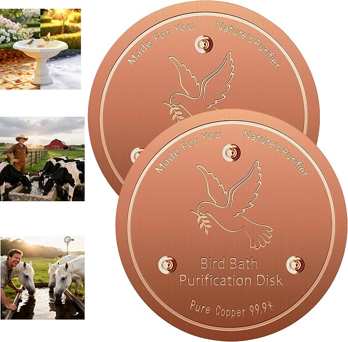2 pack Copper Disk, 99.9% Pure Copper disk by Unknown