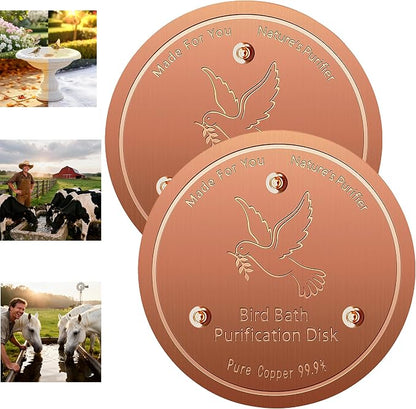 2 pack Copper Disk, 99.9% Pure Copper disk by Unknown