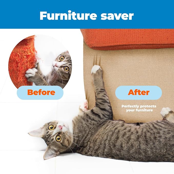 Best Pet Supplies Catify Cat Scratcher, Fun Interactive Scratchers, Claw Safe - Image 2