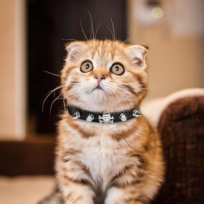 EXPAWLORER Leather Cat Collar for Girl Boy- Adjustable Pet Collar - Image 6
