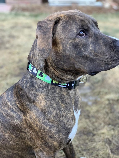 Native Pup St Patricks Dog Collar- Saint Patrick Green Shamrock Pet Collars- - Image 7