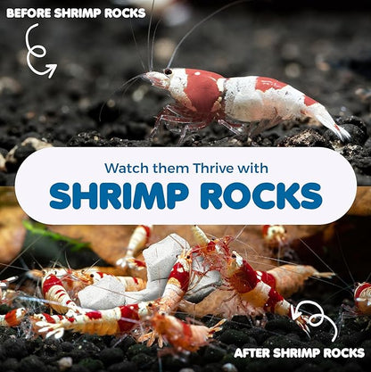 SunGrow Shrimp Rocks for Aquarium, 4-oz. Calcium Stones for Freshwater Aquarium - Image 4
