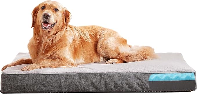 Orthopedic Memory Foam Dog Bed, Cooling Dog Beds by ABETTERLIFEWITHPET