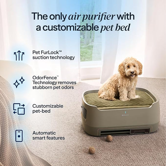 Blueair PetAir Air Purifier for Pets - Image 2