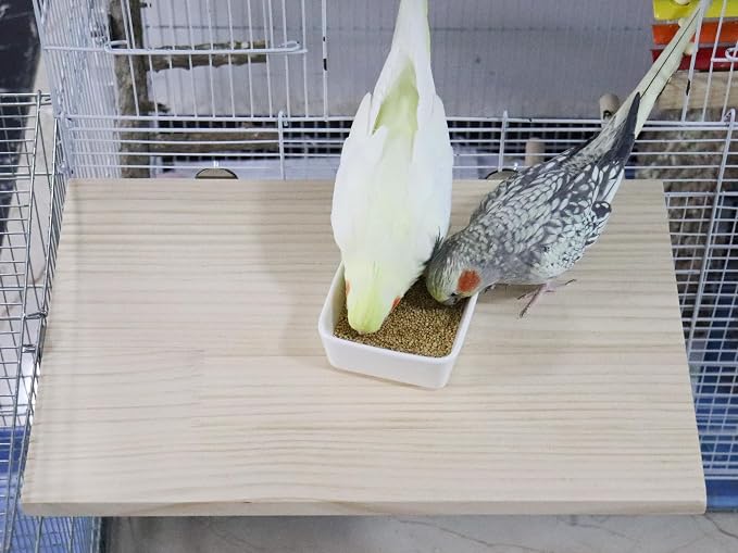 21.7 × 13.8 Inches Large Bird Perch Stand Platform, Natural Wooden Small - Image 2