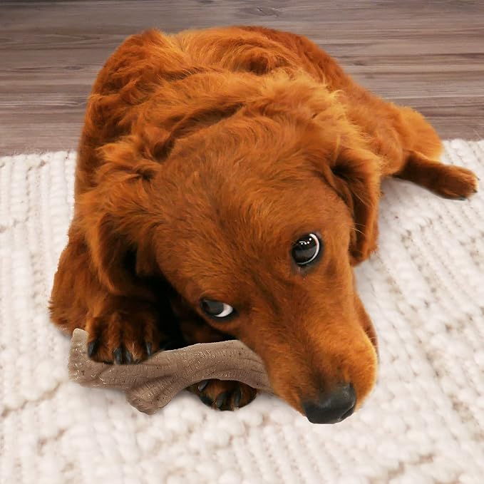 Nylabone Gourmet Style Stick Strong Chew Toy - Image 10