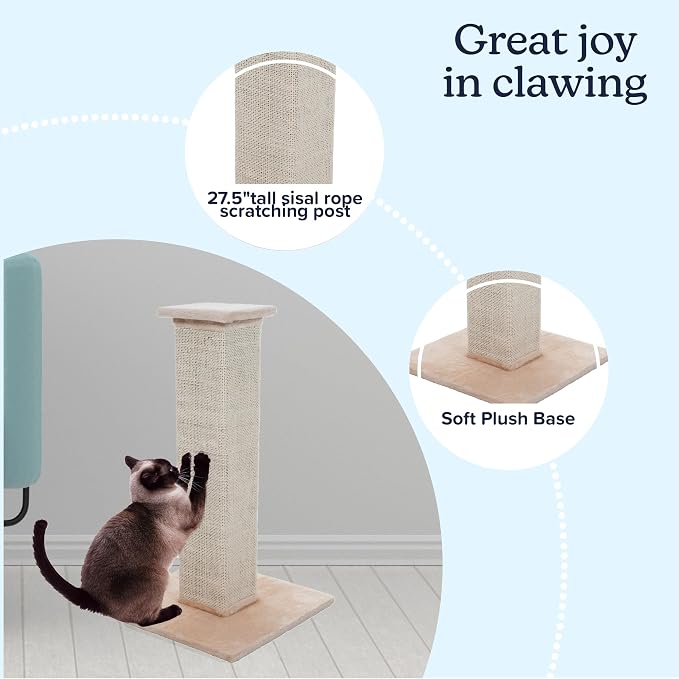 Cat Scratching Post with Carpeted Base - Image 2