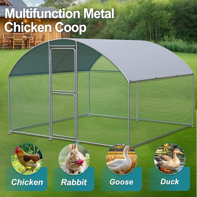 Large Chicken Coop, Chicken Coops - Image 2